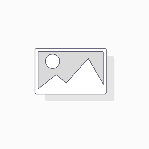 Cambridge C2 Proficiency Vorbereitung – 16 Wochen